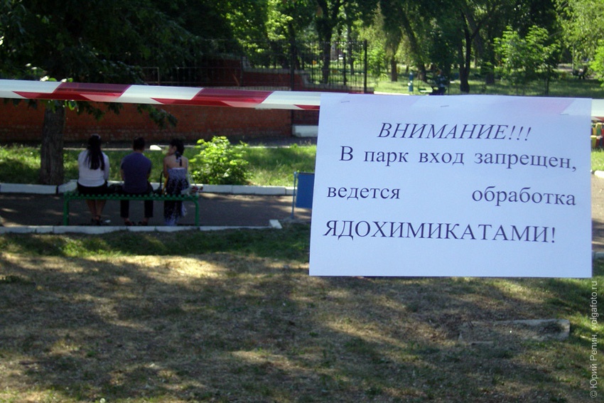Нам химия не помеха!