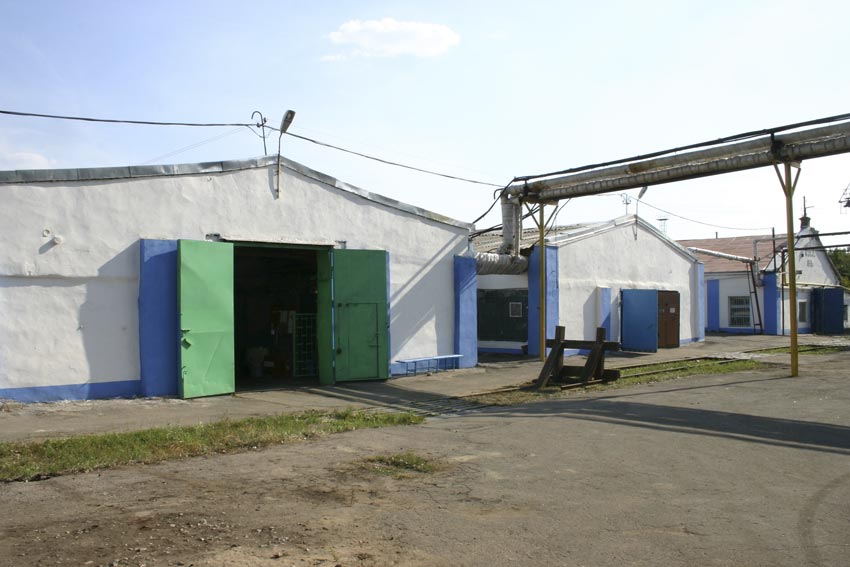 Фото 2005 год.