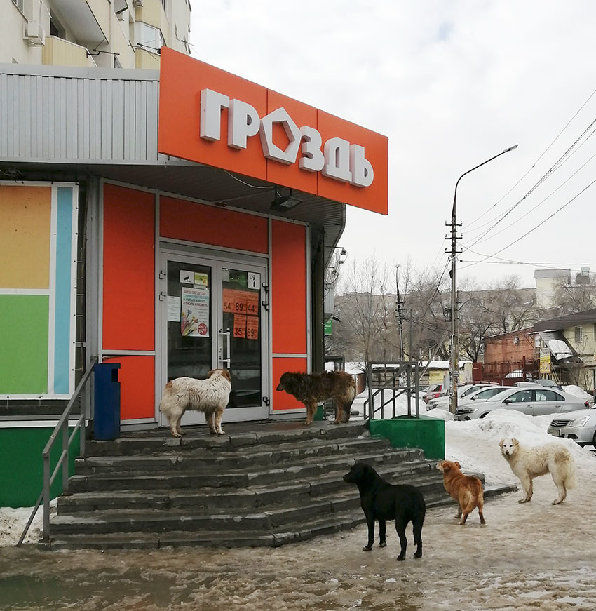 Уголовка за бродяг