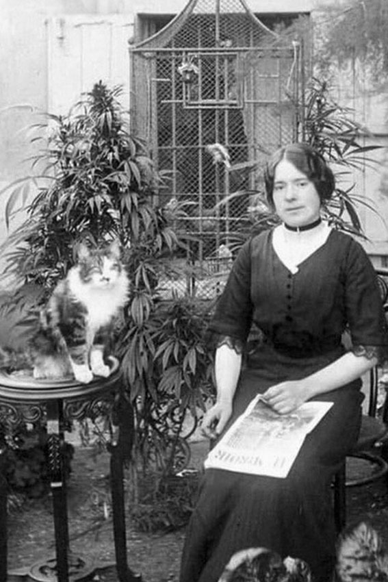 Девушка, котик и интересный кустик- конопля, Париж, 1910-е...