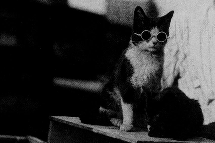Фотография Уильяма Германа Лоу, 1920 год.