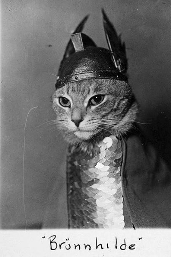 Брюнхильда, 1936 год. 