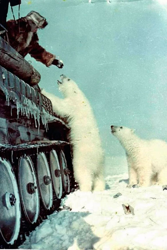 Русский с домашним медвежонком ловит такси) СССР, 1980-е годы.