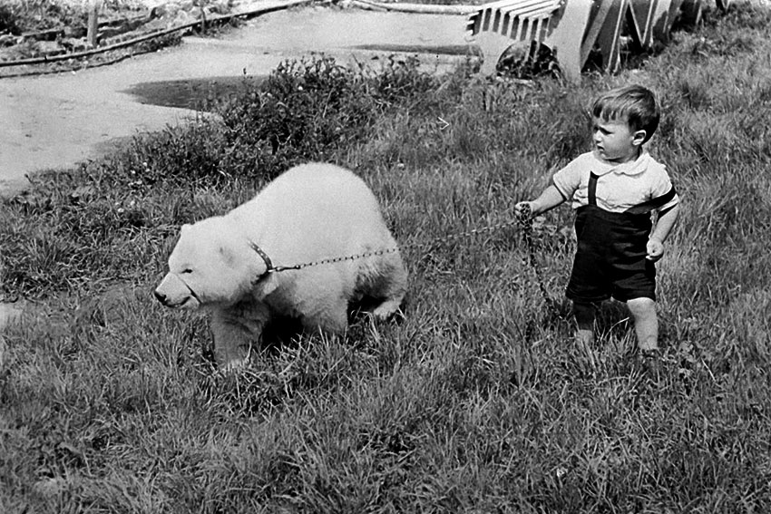 На прогулке, 1960 года.