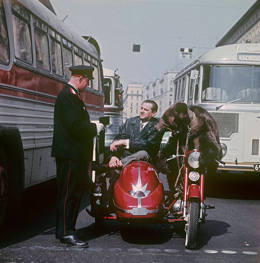 Дрессировщик Валентин Филатов с медведем. Москва 1965 год.