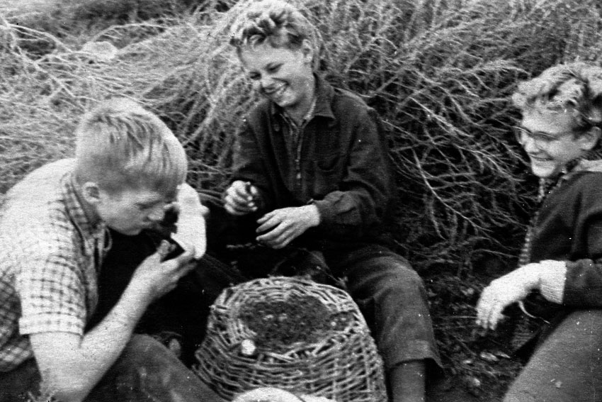 Ученики 8-го класса «на картошке» в энгельсском совхозе,1962... Ученики 8-го класса «на картошке» в энгельсском совхозе,1962...