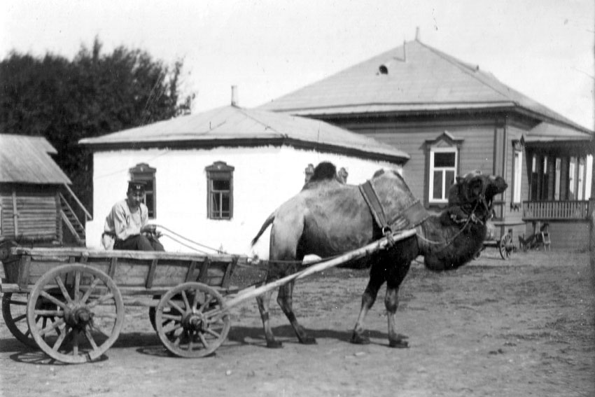 На одном из хуторов Н.А. Ухина. Фото 1900-е годы из фондов (ЭКМ).