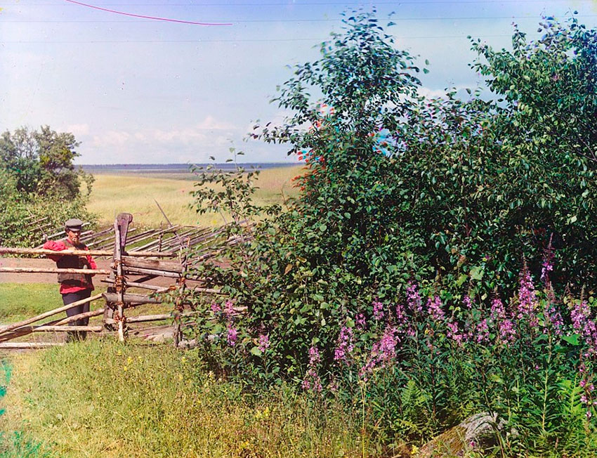 Деревня Палтога, Вологодская область.
