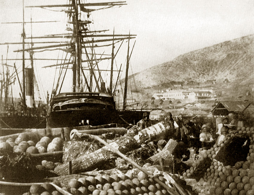 Крымская война, близ Балаклавы, 1855 год. Крымская война, близ Балаклавы, 1855 год.