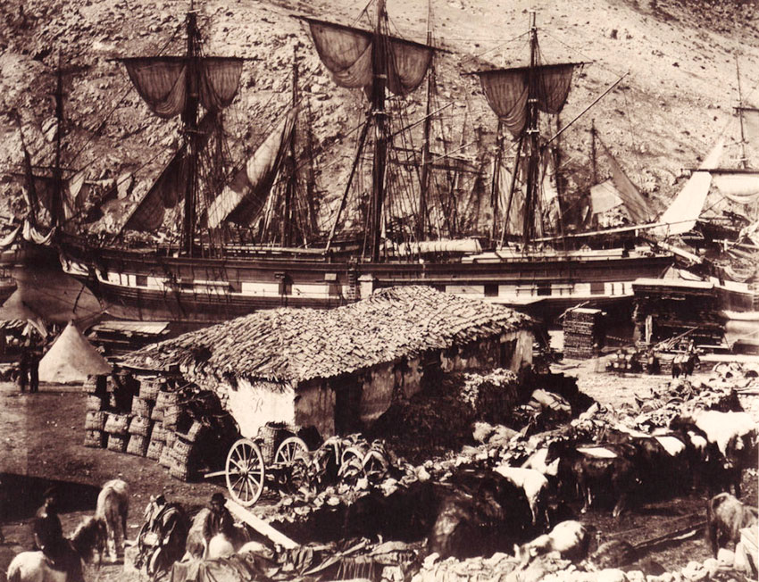 Причал, крупный рогатый скот, Балаклава, 1855 год. Причал, крупный рогатый скот, Балаклава, 1855 год.