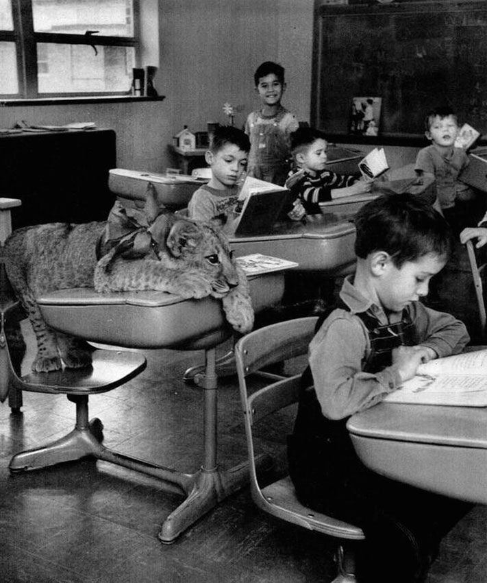 Гapдeн Cити, Kaнзac. 1951 год.