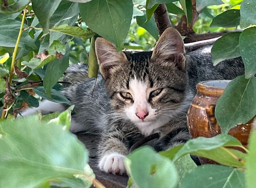 Фото Подшивалова Марина.