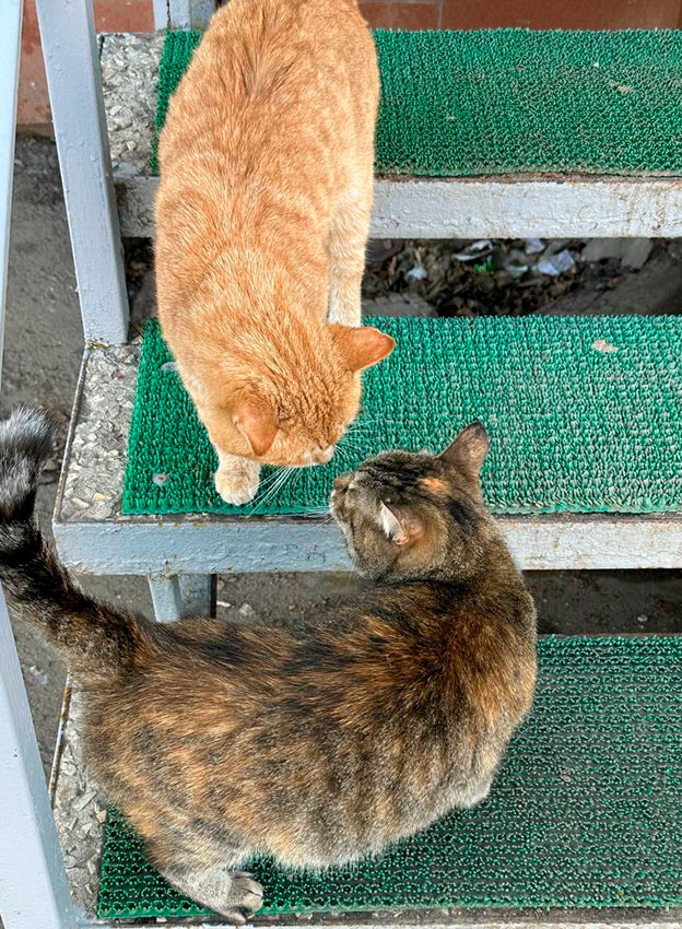 Фото Подшивалова Марина.