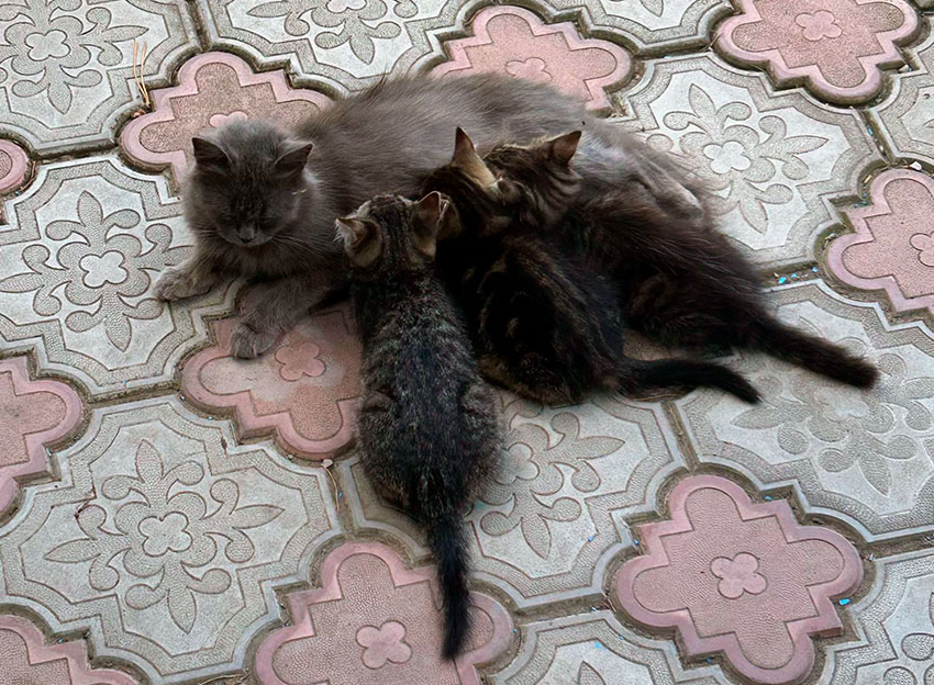 Фото Подшивалова Марина.