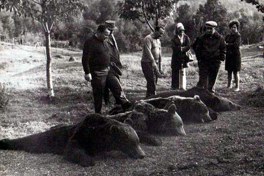Николае Чаушеску на охоте в Румынии, 1970 год.