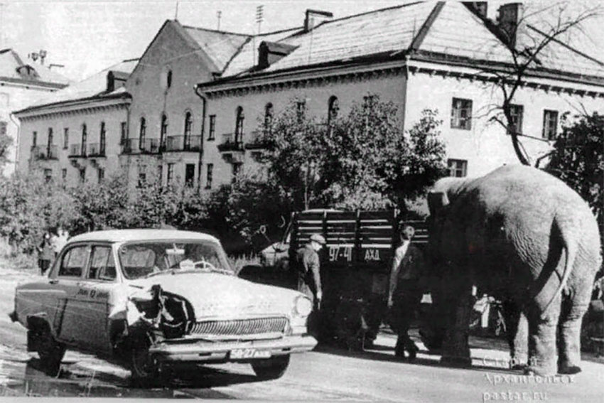 В августе 1971 года в Архангельск приехал с гастролями Бакинский...