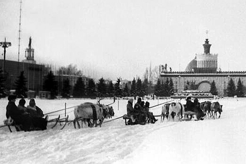 Kaтaние на олeниx упpяжкax, ВДНХ, Москва, 1979 гoд.