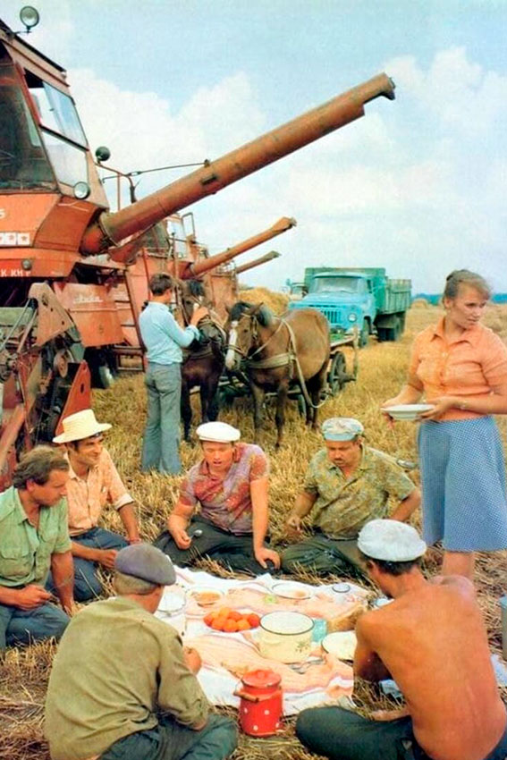 Обед комбайнёров в поле, Украинская ССР, 1980 год.