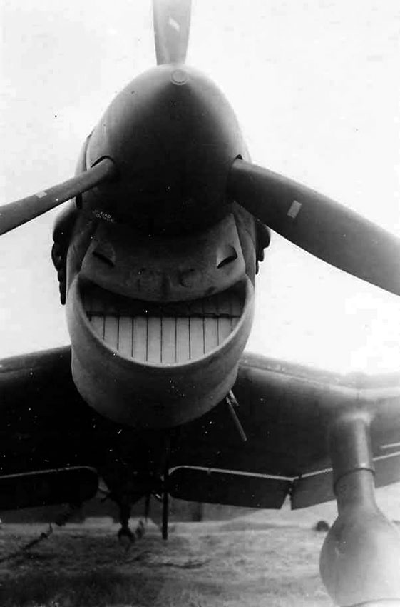 Необычный ракурс немецкого пикировщика Ju-87. Создается впечатление,...