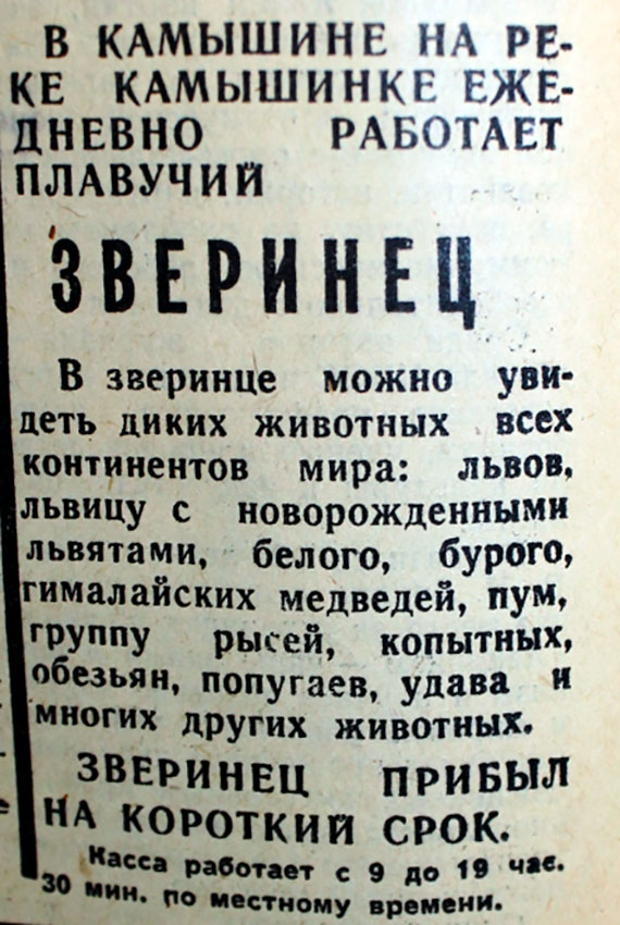Газетная вырезка город  Камышин.