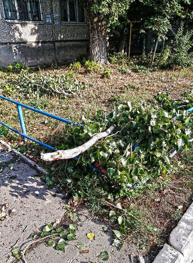 Шквал во дворах