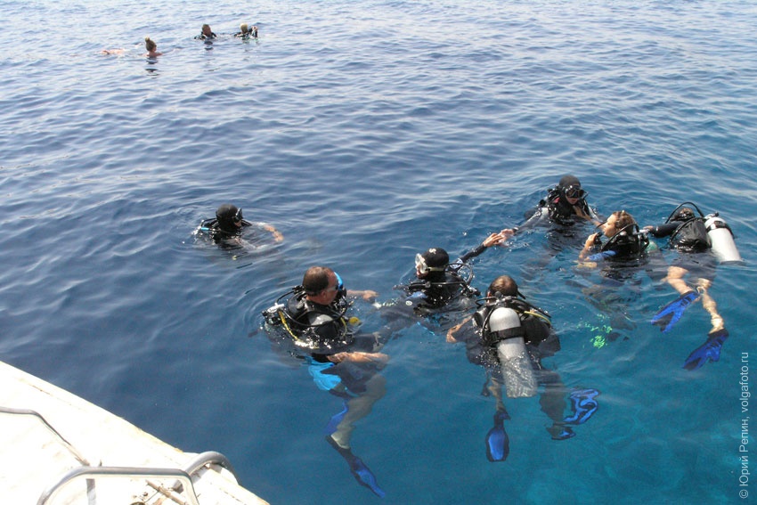 Красное море Красное море